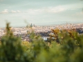 Kahlenberg-Wien-Hochzeitsfotos-4651